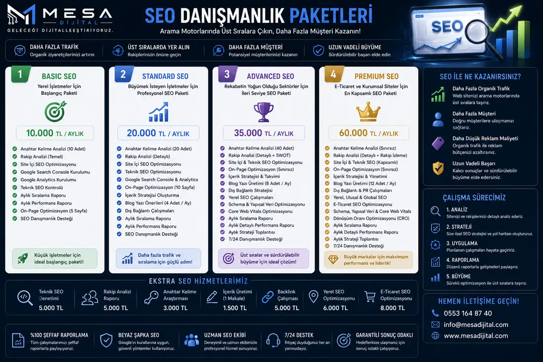 MESA Dijital SEO danışmanlık paketleri